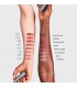 VELVET WEAR 32 WARM NUDE Ruj mat cremos Madara 4 g